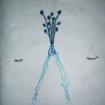 Art Therapy: Session 4